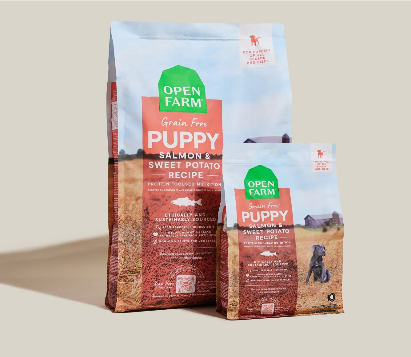 Salmon Grain-Free Puppy Kibble