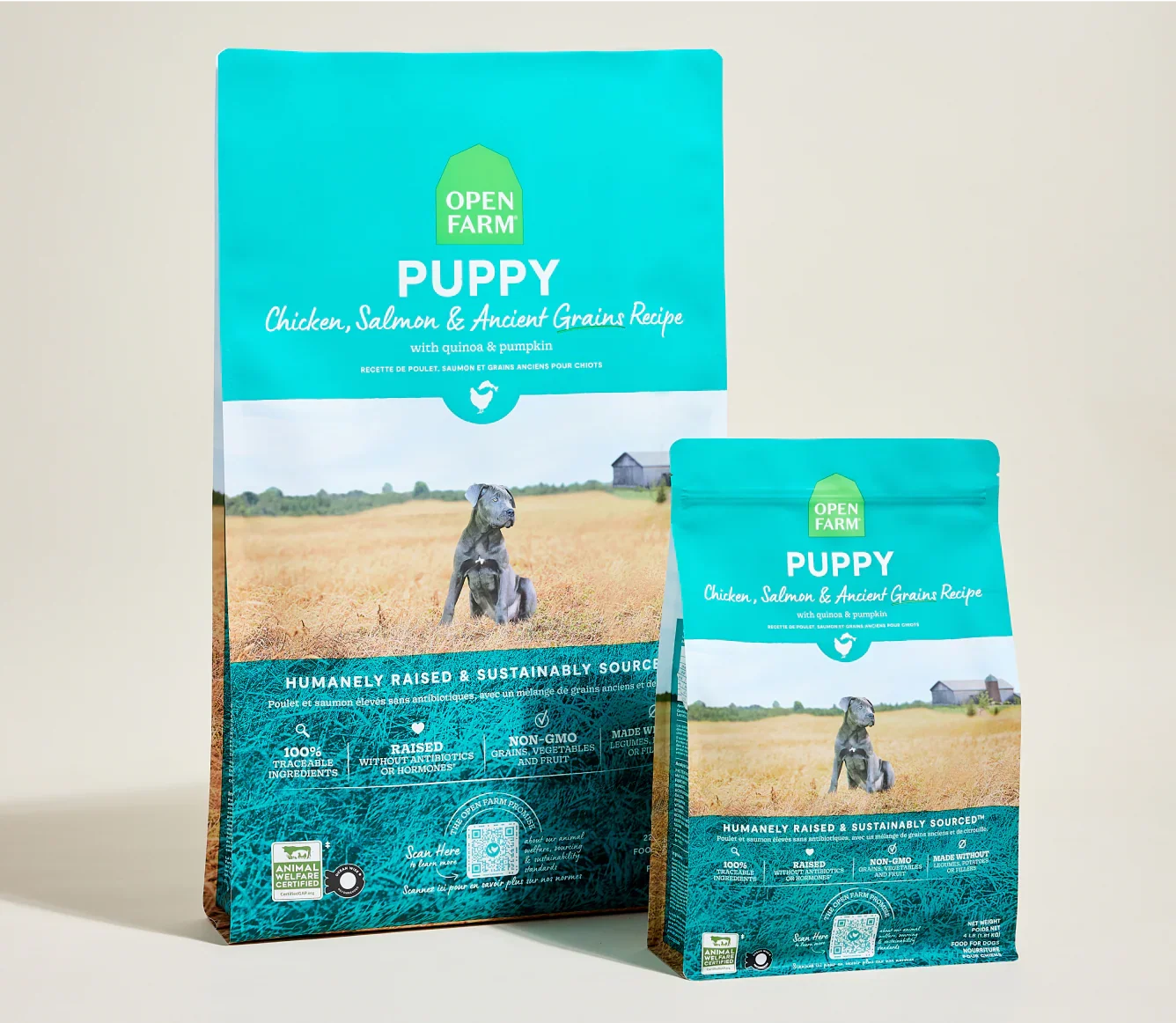 Chicken & Salmon Ancient Grains Puppy Kibble
