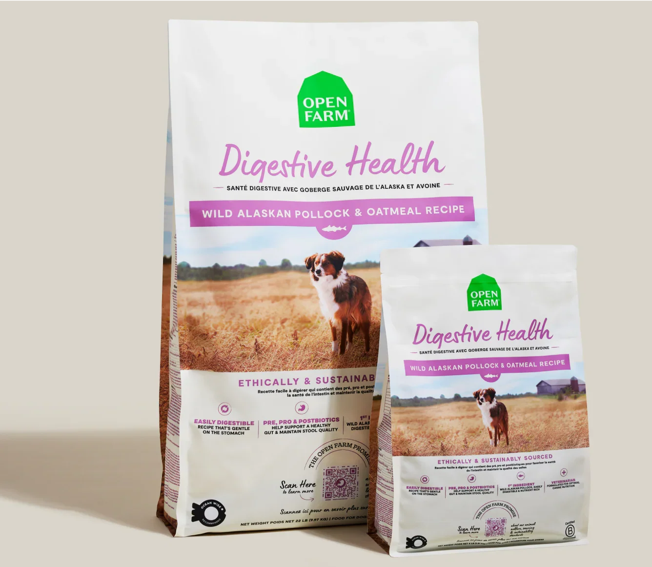 Pollock & Oatmeal Digestive Health Dog Kibble