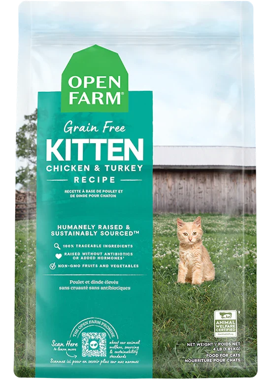 New Kitten Pack