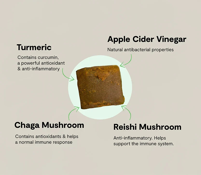 Immune Health Supplement Chews for Dogs