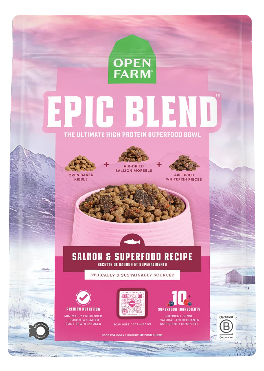 Epic Blend Salmon & Superfood Dry Dog Food