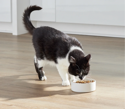 RawMix Open Prairie Grain-Free Cat Kibble