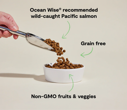 Wild-Caught Salmon Grain-Free Dog Kibble