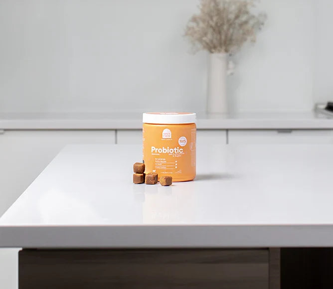 Probiotic Food Supplement Chews for Dogs