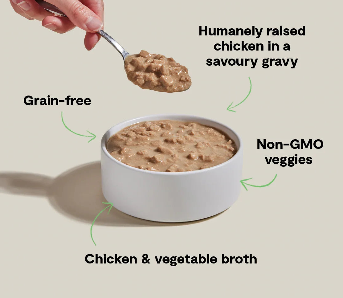 Harvest Chicken Morsels in Gravy for Cats