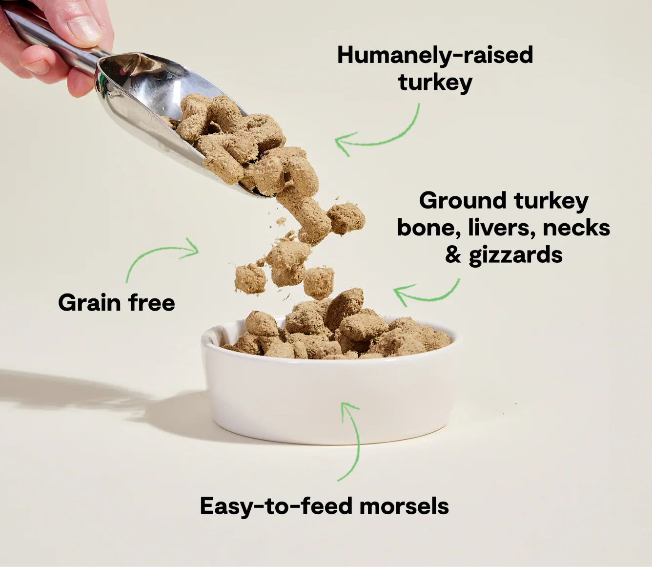 Homestead Turkey Freeze Dried Raw Morsels for Dogs