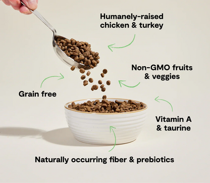 Chicken & Turkey Grain-Free Kitten Kibble
