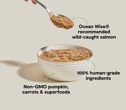 Wild-Caught Salmon Rustic Blend Wet Cat Food