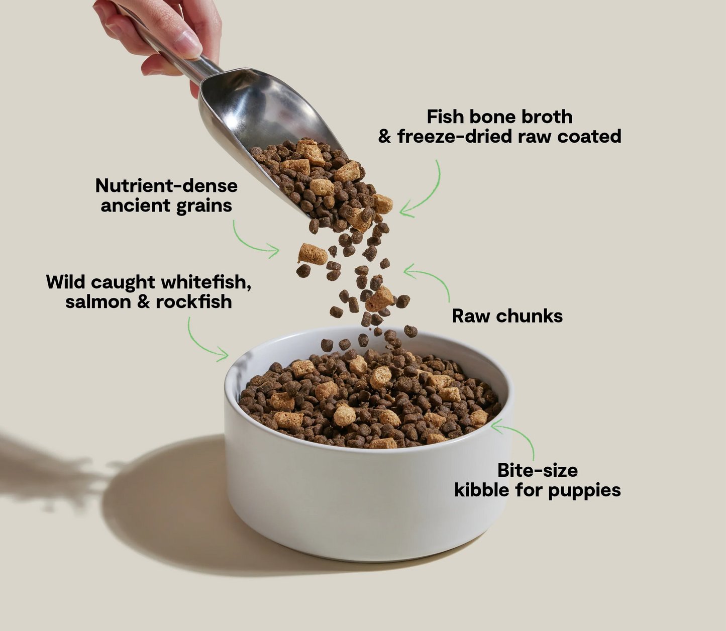 RawMix Ancient Grains Puppy Kibble