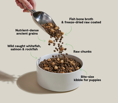 RawMix Ancient Grains Puppy Kibble