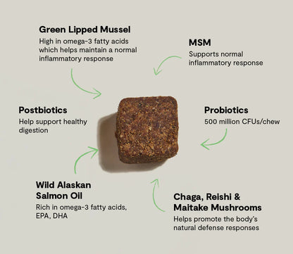 Multi+ Supplement Chews for Dogs