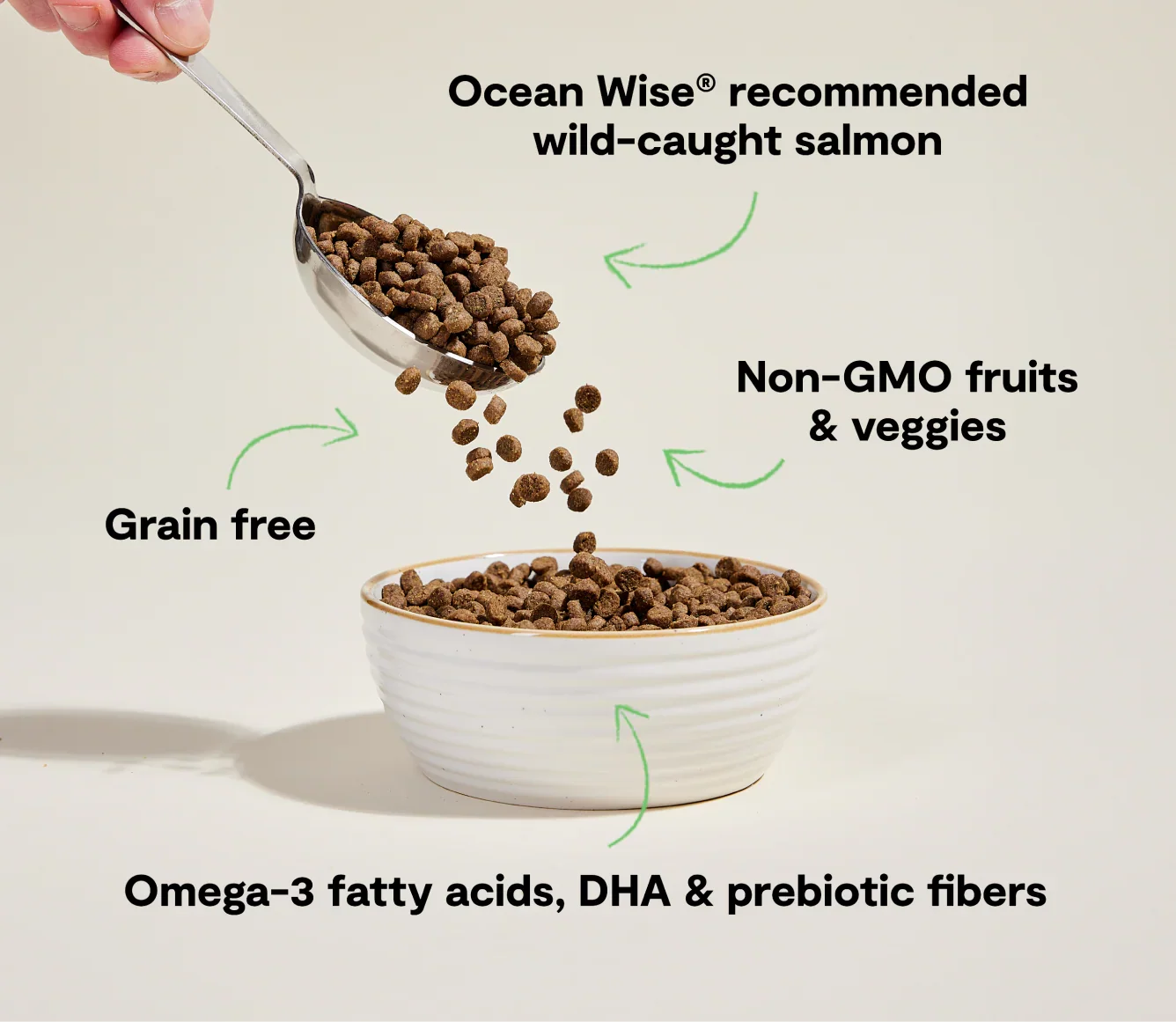 Wild-Caught Salmon Grain-Free Cat Kibble