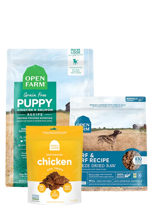 New Puppy Pack