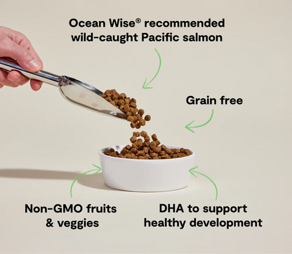 Salmon Grain-Free Puppy Kibble