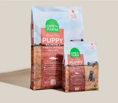 Salmon Grain-Free Puppy Kibble