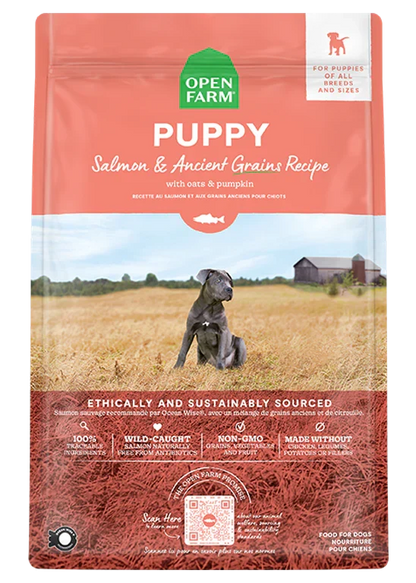 Salmon & Ancient Grains Puppy Kibble