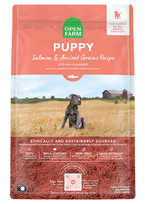 Salmon & Ancient Grains Puppy Kibble