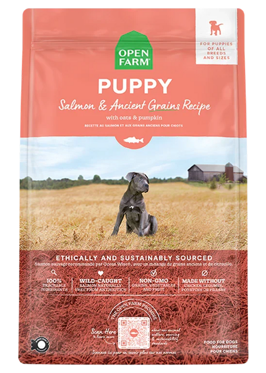 Salmon & Ancient Grains Puppy Kibble