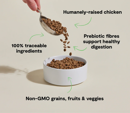 Goodbowl™ Harvest Chicken & Brown Rice Cat Kibble