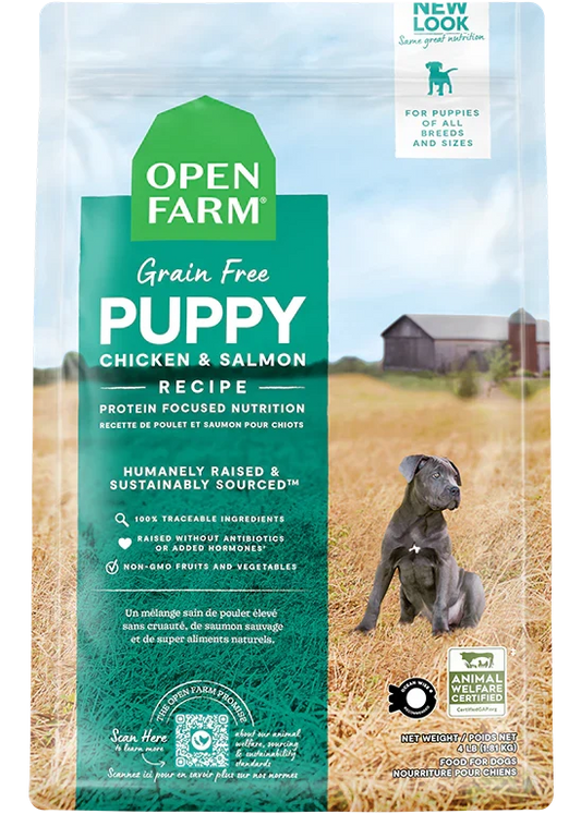 Chicken & Salmon Grain-Free Puppy Kibble