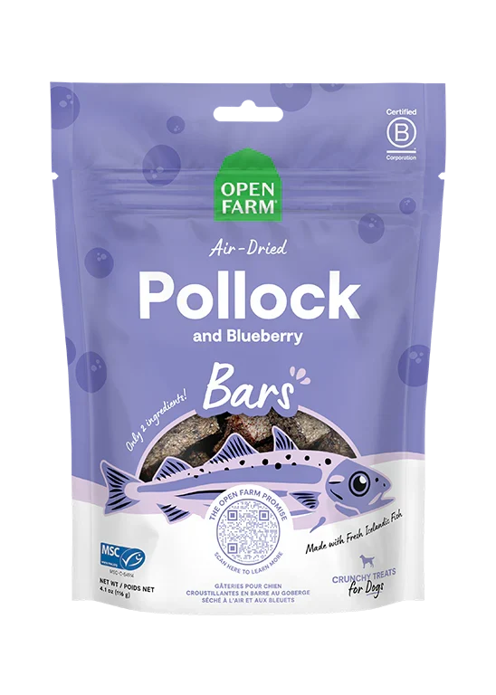 Icelandic Air-Dried Pollock & Blueberry Dog Treat Bars