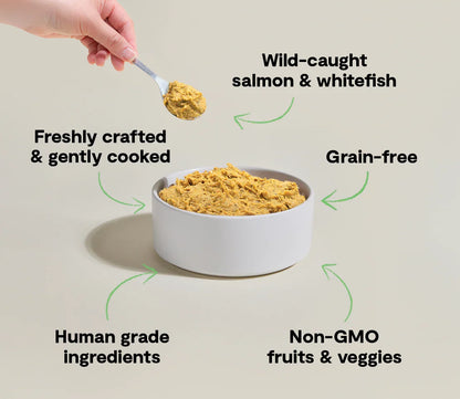 Wild-Caught Fish Freshly Crafted Dog Food