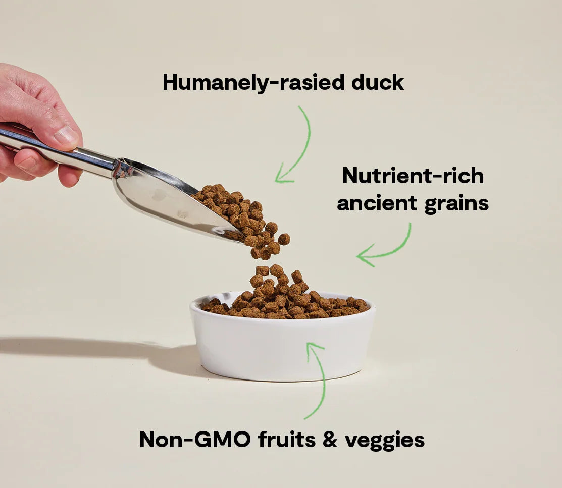Farmstead Duck Ancient Grains Dog Kibble