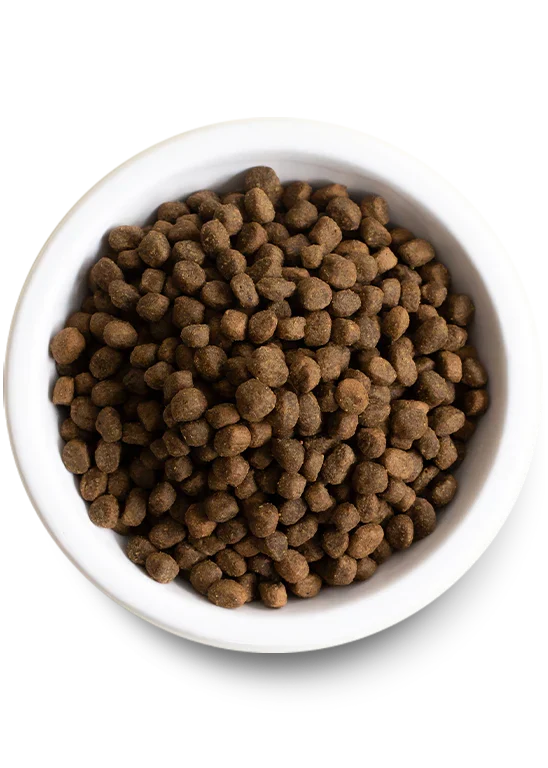 Puppy Essentials Pack