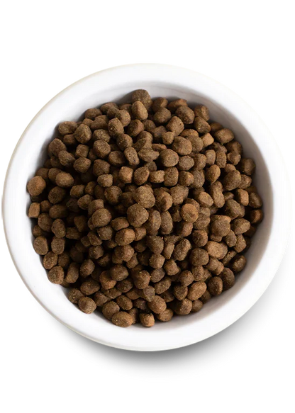 Puppy Essentials Pack