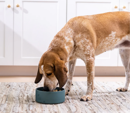 RawMix Front Range Freeze Dried Raw Morsels for Dogs