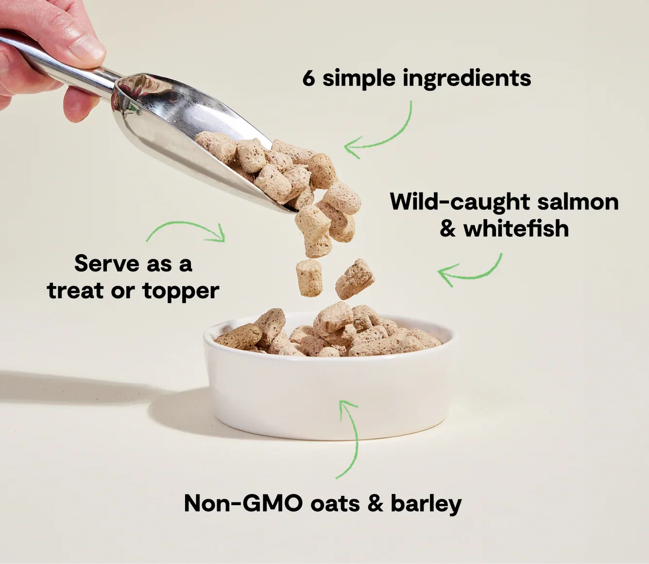 Goodbowl™ Wild-Caught Salmon Freeze Dried Raw Morsels for Dogs