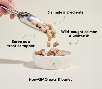 Goodbowl™ Wild-Caught Salmon Freeze Dried Raw Morsels for Dogs