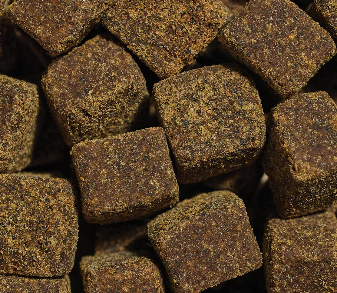 Hip & Joint Supplement Chews for Dogs
