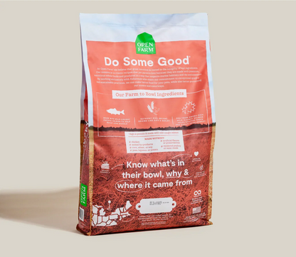 Salmon & Ancient Grains Puppy Kibble