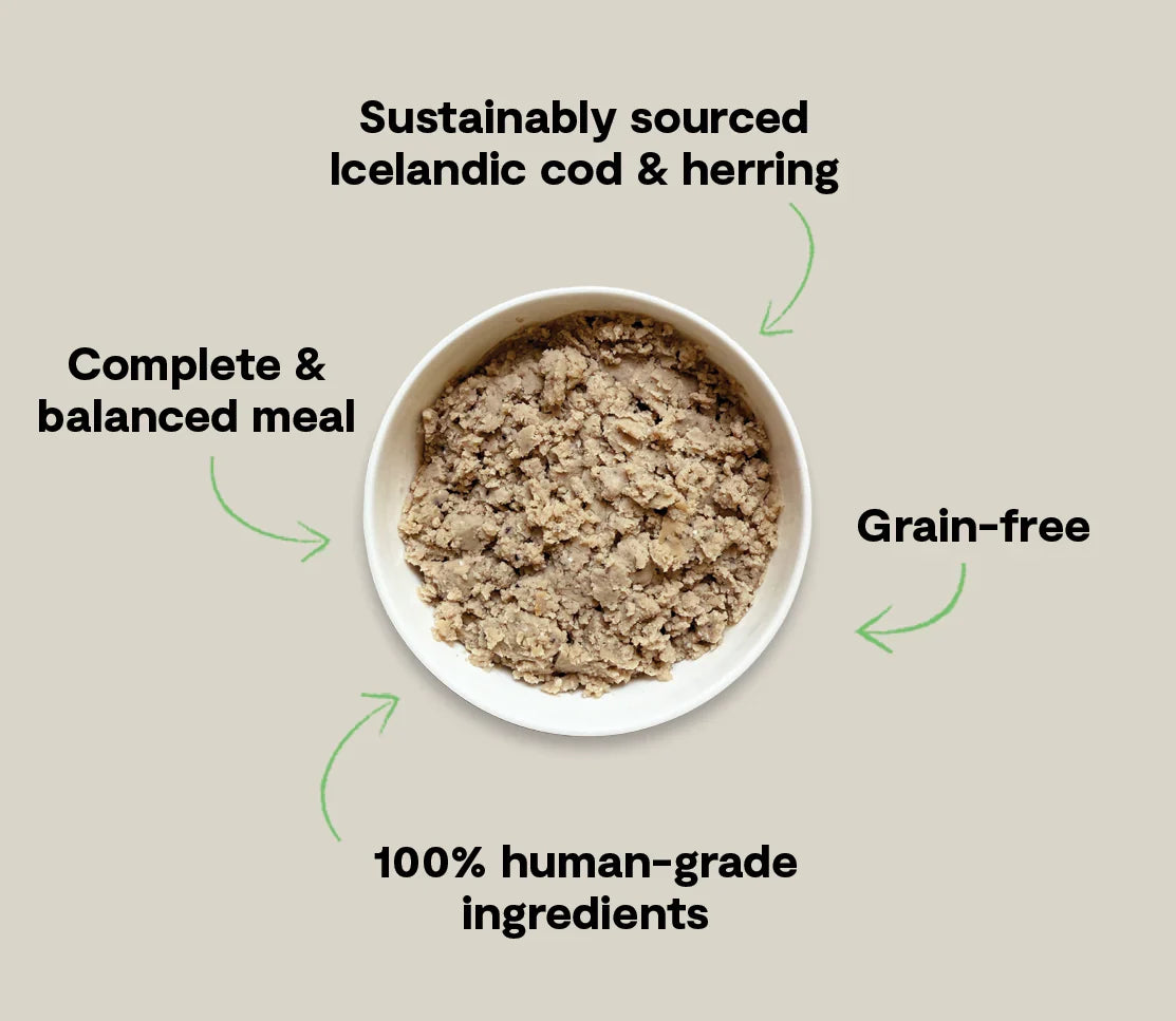 Icelandic Cod & Herring Wet Food for Dogs