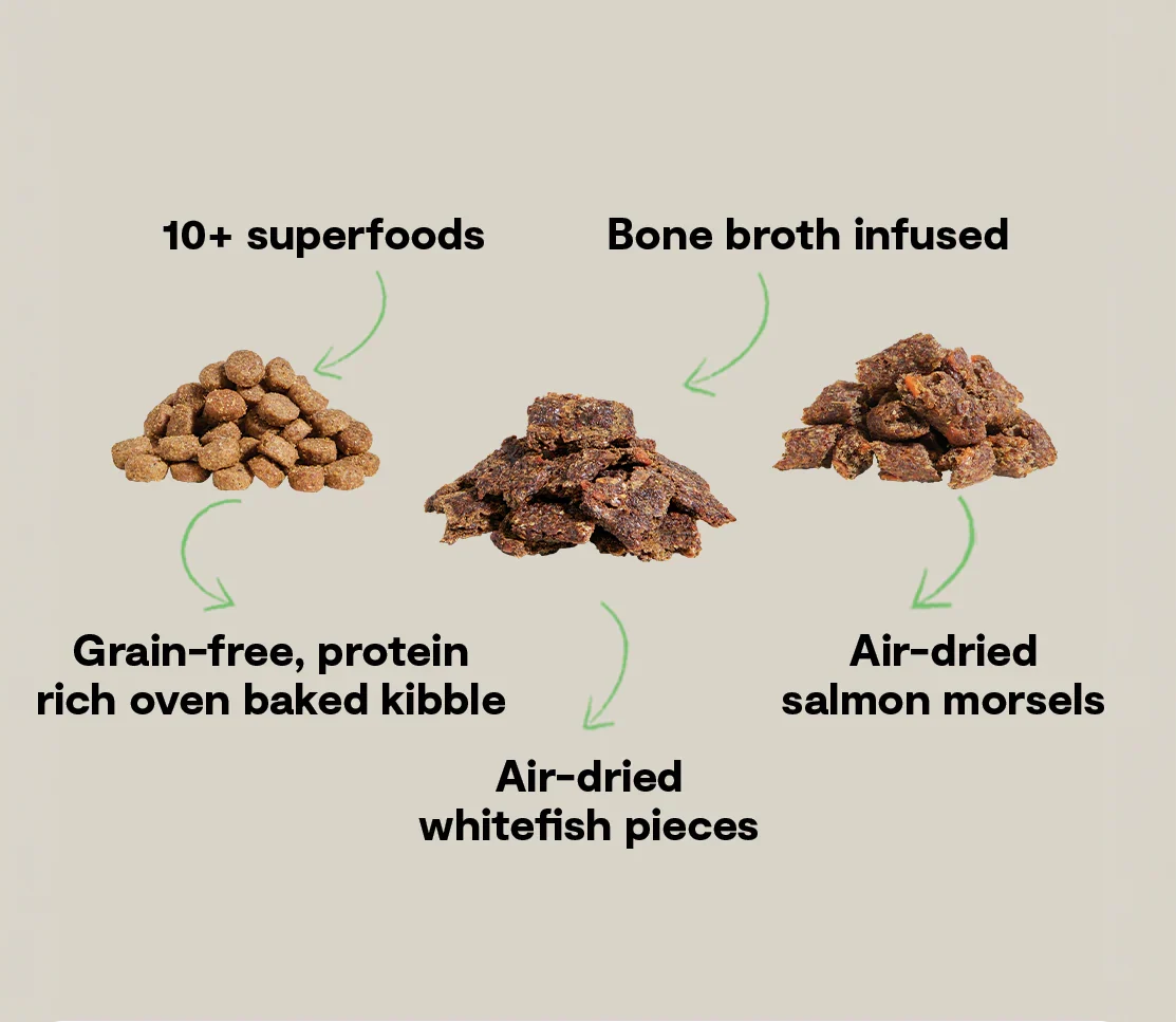 Epic Blend Salmon & Superfood Grain-Free Dog Kibble