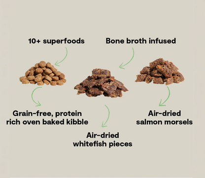 Epic Blend Salmon & Superfood Grain-Free Dog Kibble