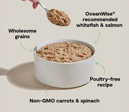 Goodbowl™ Wild-Caught Whitefish & Salmon Pâté for Dogs