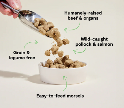 RawMix Tide & Terrain Freeze Dried Raw Morsels for Dogs