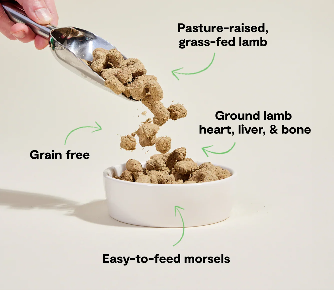 Pasture-Raised Lamb Freeze Dried Raw Morsels for Dogs