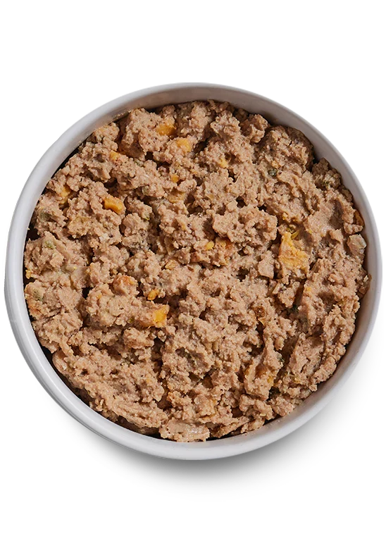 Pâté Variety Pack for Dogs