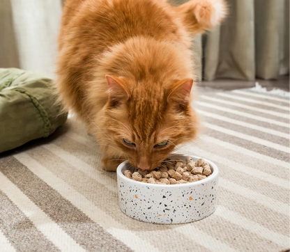 Icelandic Herring & Salmon Oil For Cats