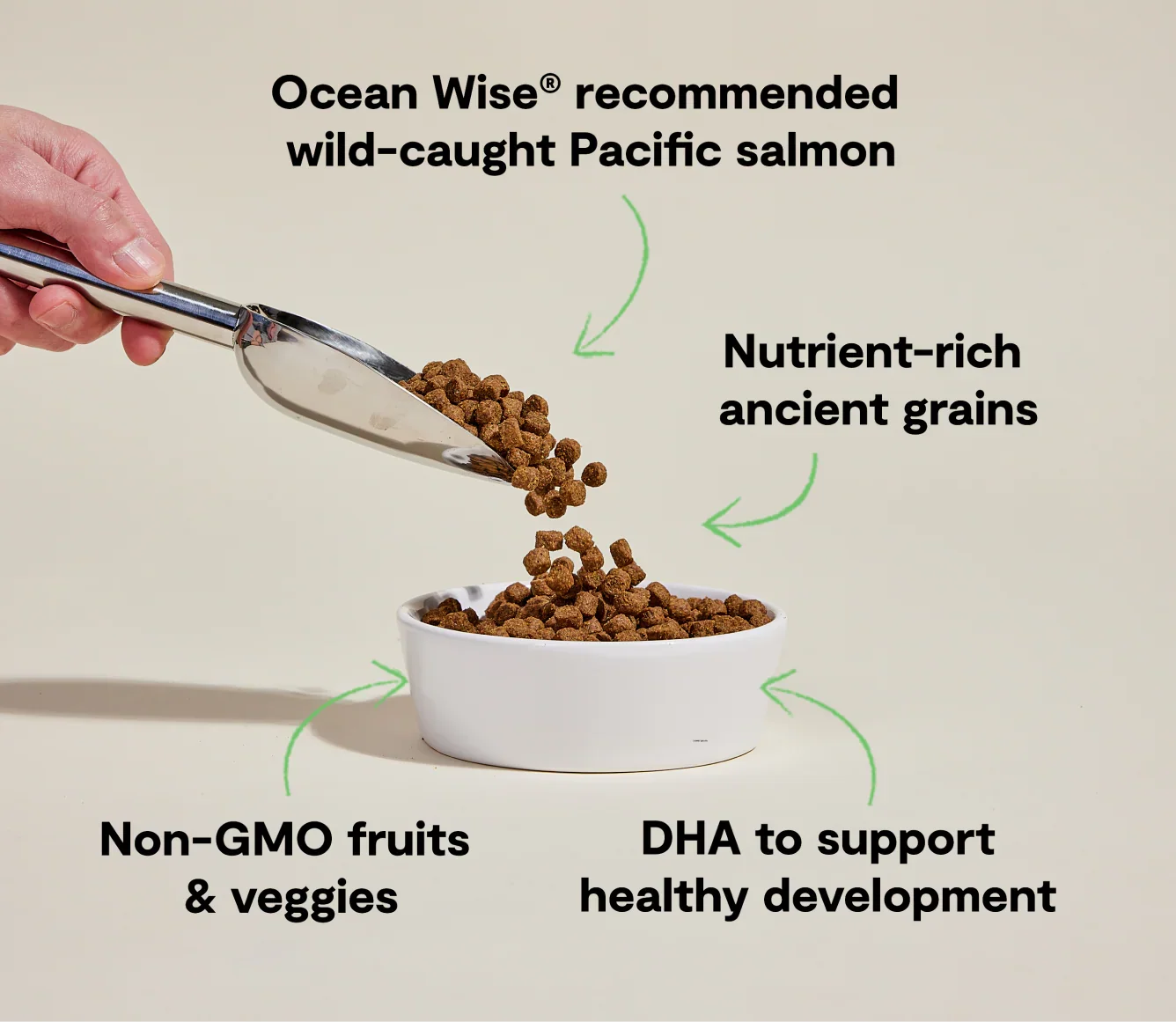 Salmon & Ancient Grains Puppy Kibble