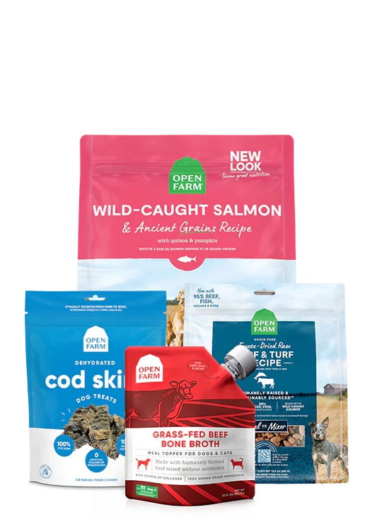 Best Sellers Dog Bundle