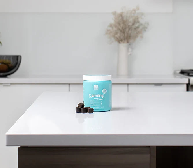 Calming Health Supplement Chews for Dogs