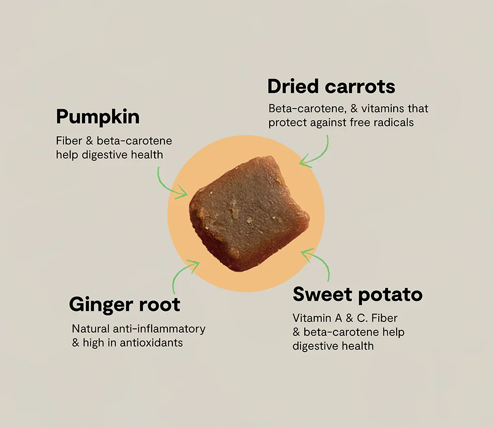 Probiotic Food Supplement Chews for Dogs