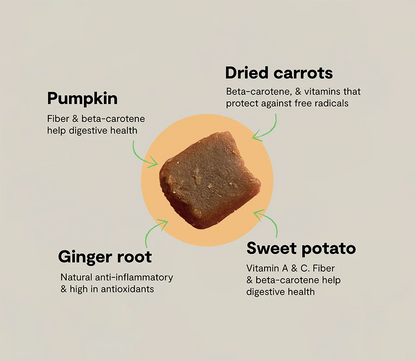 Probiotic Food Supplement Chews for Dogs