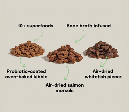 Epic Blend Salmon & Superfood Dry Dog Food