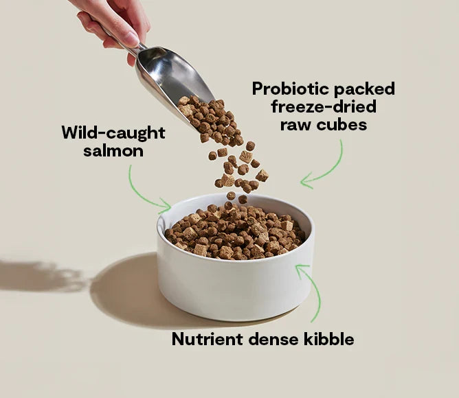 GoodGut Wild-Caught Salmon Dog Kibble